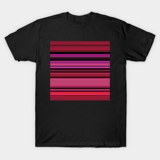 Simple Lesbian Serape T-Shirt